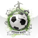 Soccer / Football Rules